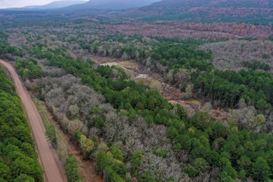 0000 County Line Rd, Booneville, AR 72927 - photo 2