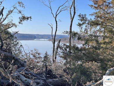 ? NE 1271 Rd, Osceola, MO 64776 - photo 6