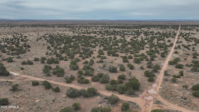 3976 E Highgrove Rd unit 225, Williams, AZ 86046 - photo 5