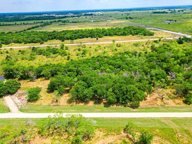 Lot 19 Grison Cir, Corsicana, TX 75109 - photo 5