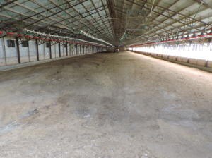 2-turkeyfarm