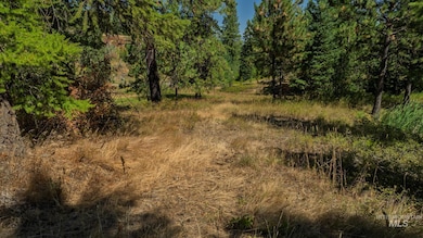 NKA O'Reilly Rd, Princeton, ID 83857 - photo 5