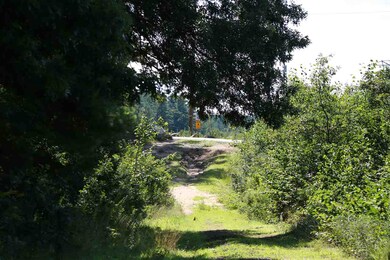 0 Sebbins Pond Dr unit Lot 34 / 28, Bedford, NH 03110 - photo 4