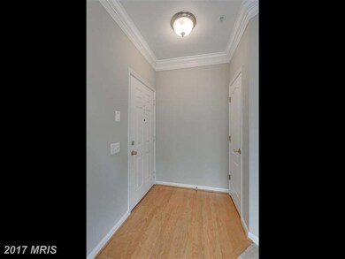 1714 Kingsgate Ct unit 301, Alexandria, VA 22302 - photo 2