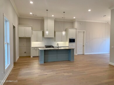204 Lake Ridge Dr, Madison, MS 39110 - photo 4
