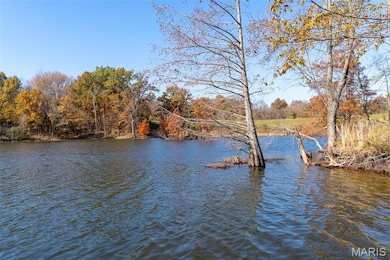 000 County Highway 217, Chaffee, MO 63740 - photo 2