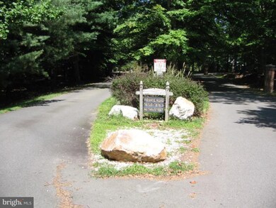 8751 Mountain Valley Rd, Fairfax Station, VA 22039 - photo 3