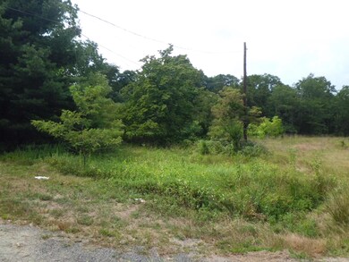 65 Squankum Rd, Colts Neck, NJ 07722 - photo 2