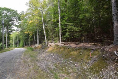 49 & 50 Treeline Rd, Thornton, NH 03285 - photo 5