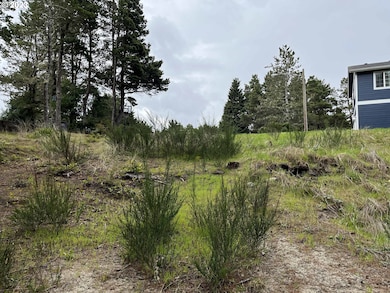 649 Ibolt Ct, Florence, OR 97439 - photo 7