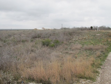 1 Co Rd 391, Mathis, TX 78341 - photo 2
