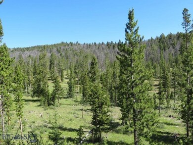TBD Quartz Hill - Thistle Lode Rd, Wise River, MT 59762 - photo 3