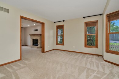 452 Windsor Dr unit 2, Oswego, IL 60543 - photo 7