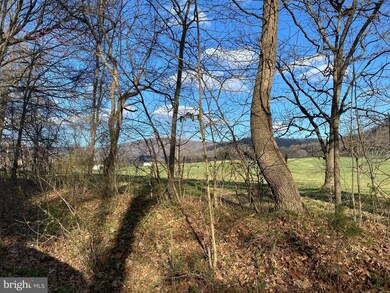 Lot 9 Jones Farm Rd, South River, VA 22610 - photo 5