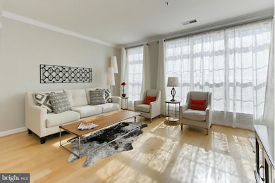 22797 Settlers Trail Terrace, Ashburn, VA 20148 - photo 3