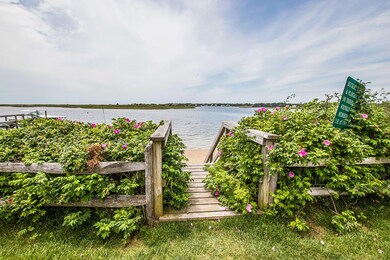 IMG_4290s