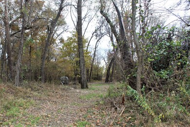 IMG_4752 (2)