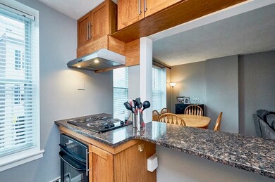 171 W 8th St unit 2, Boston, MA 02127 - photo 6