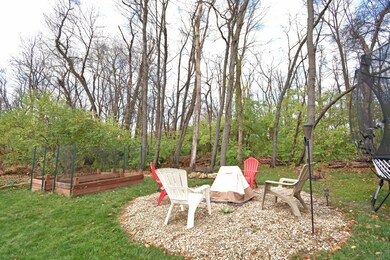 Backyard Woods