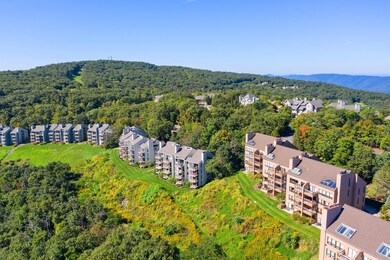 1501 Cliffs Condos, Wintergreen Resort, VA 22967 - photo 4