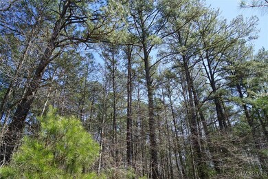 200 Old Barnes Rd, Pine Level, AL 36065 - photo 3