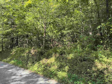 TBD Joe Gibson Rd, Newburg, WV 26410 - photo 5