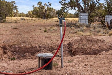 8804 Johnson Hill Trail, Snowflake, AZ 85937 - photo 3