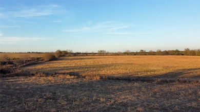 TBD C R 1222, Deport, TX 75435 - photo 3