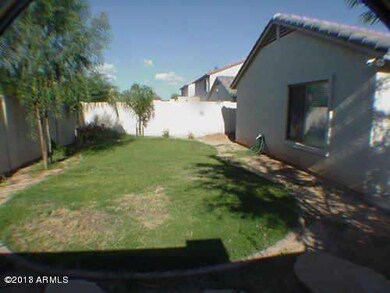 Dragoon Backyard