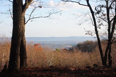 DSC_1230 (1024x685)