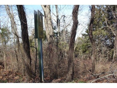 Lot 13 James View Rd, Ruth B Rural Township, MO 65686 - photo 3