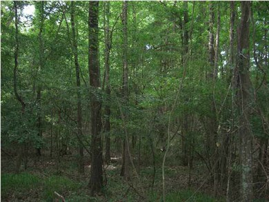 Hardwoods