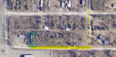 L13 sat map