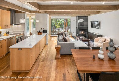 1034 E Cooper Ave unit 24A, Aspen, CO 81611 - photo 5