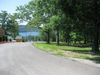 Lot 3 Breezy Point Ln, Ruth B Rural Township, MO 65686 - photo 2