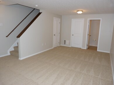 Lower level rec room