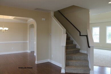 Additional Photo
