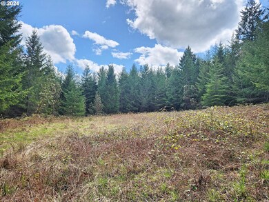 0 Bolton Hill Rd unit S 24559081, Veneta, Or, OR 97487 - photo 2