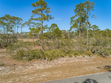 153 Hidden Harbor Dr, Alligator Point, FL 32346 - photo 3