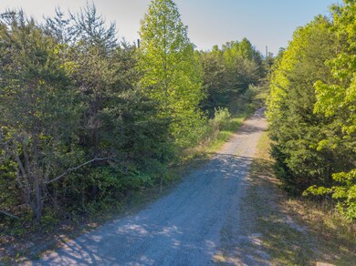 Deer Run (1 of 52)