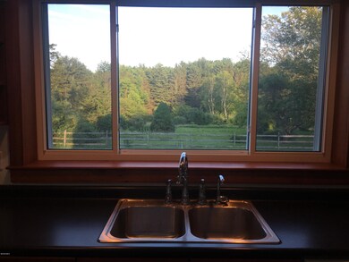 View out kitchen window