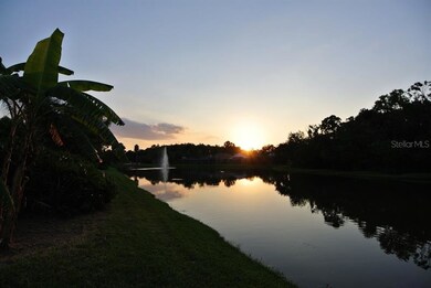 525 Cypress View Dr, Oldsmar, FL 34677 - photo 2