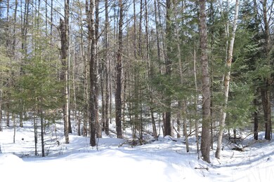 0 Perch Pond Rd unit R-15 Block 00A Lot 8, Lisbon, NH 03585 - photo 3