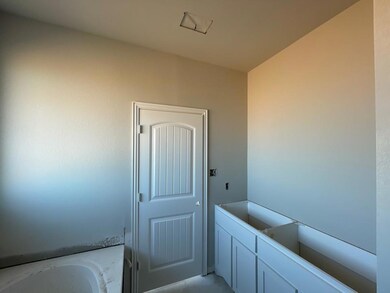 1025 Northern Oaks Ct, Springtown, TX 76082 - photo 5