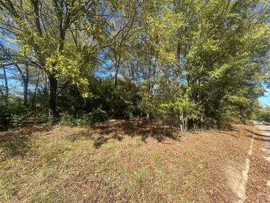 10 Bayshore Dr, Athens, TX 75752 - photo 4