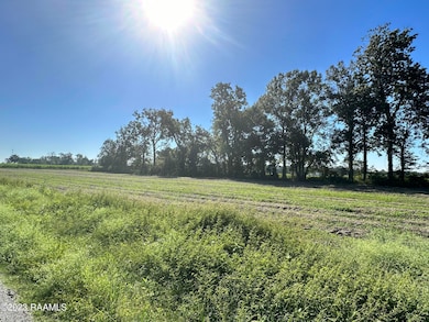 0 N Barn Rd unit 23008958, Breaux Bridge, LA 70517 - photo 3