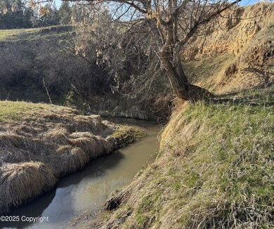 Tract 5 creek