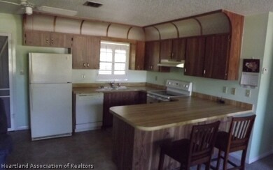 209 Washington Blvd, Lake Placid, FL 33852 - photo 2