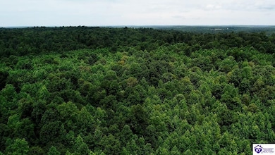 Tract 1 Cook Ln, Cromwell, KY 42733 - photo 2