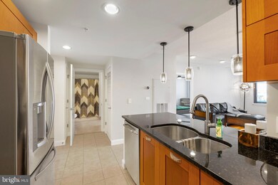 Midtown Alexandria Station Condominiums unit 824, Alexandria, VA 22303 - photo 5